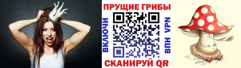 цены Салават мориарти формула Псилоцибиновые грибы мицелий