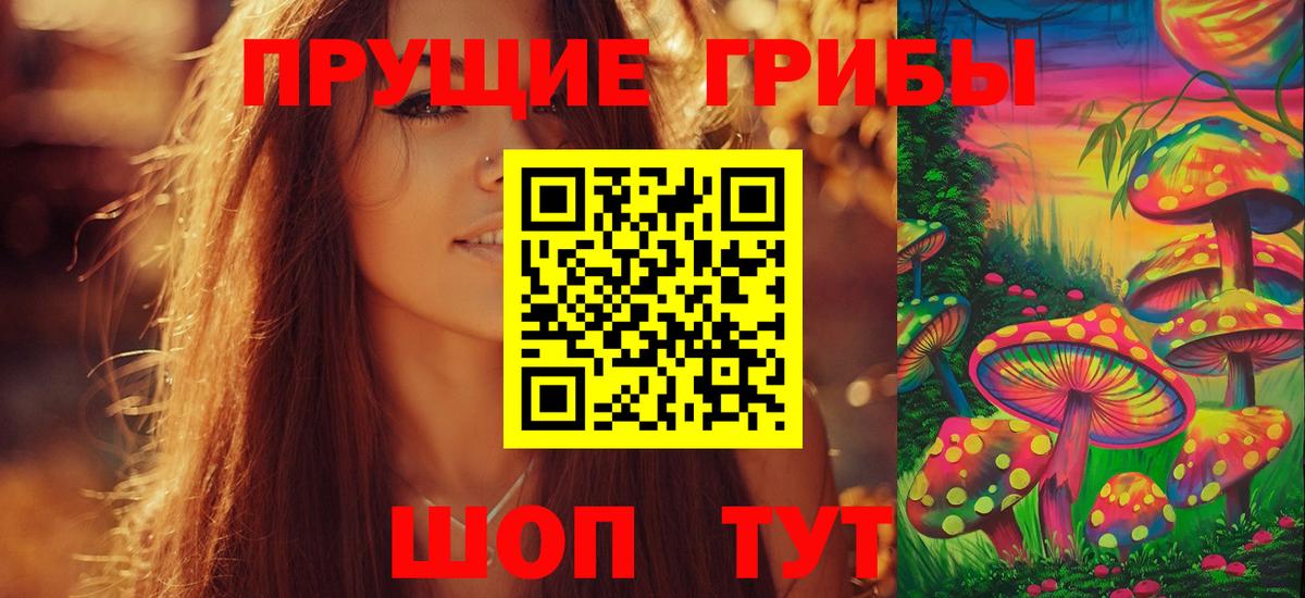 Галлюциногенные грибы Psilocybe  Вход с VPN  Салават  Галлюциногенные грибы GOLDEN TEACHER 
