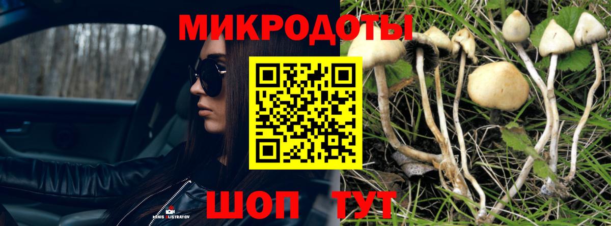 Псилоцибиновые грибы прущие грибы Салават