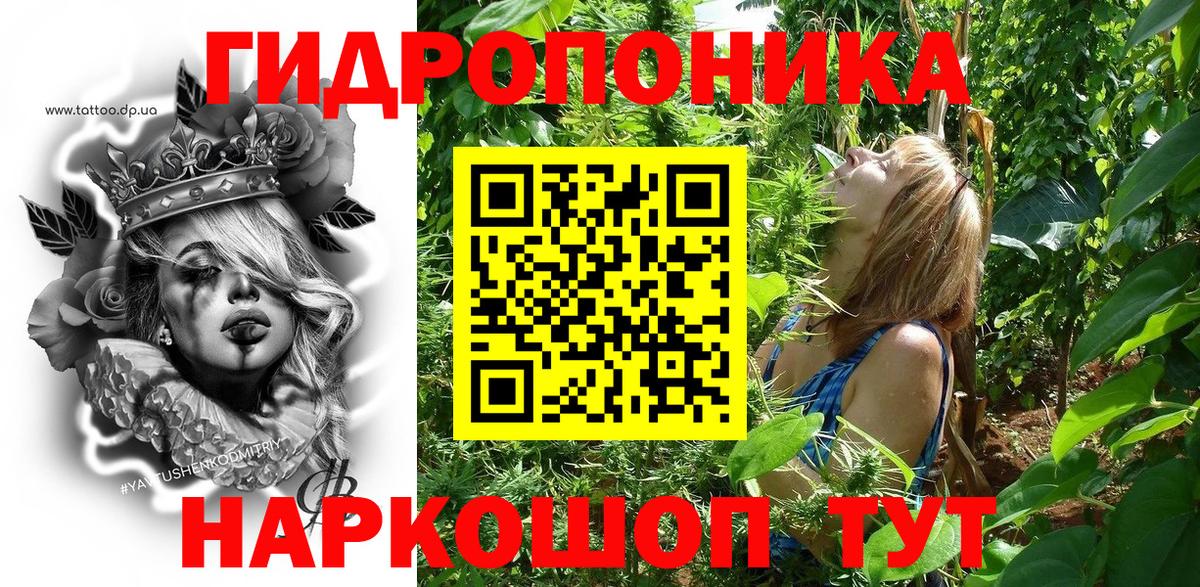 Салават  Конопля Bruce Banner  Бошки Шишки Amnesia  Марихуана семена  Вход с VPN 